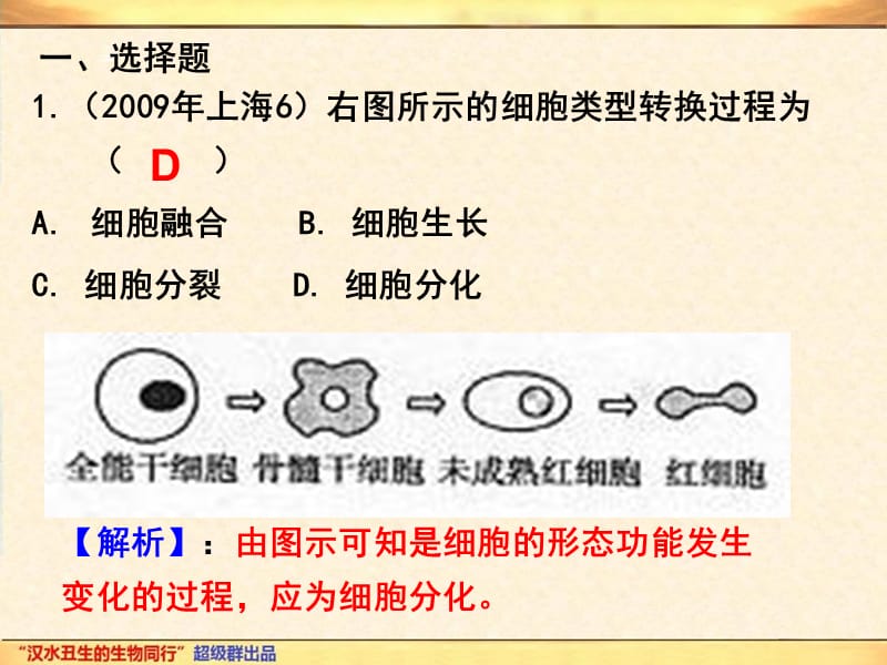 专题10细胞分化、癌变、衰老及凋亡-PPT文档.ppt_第1页