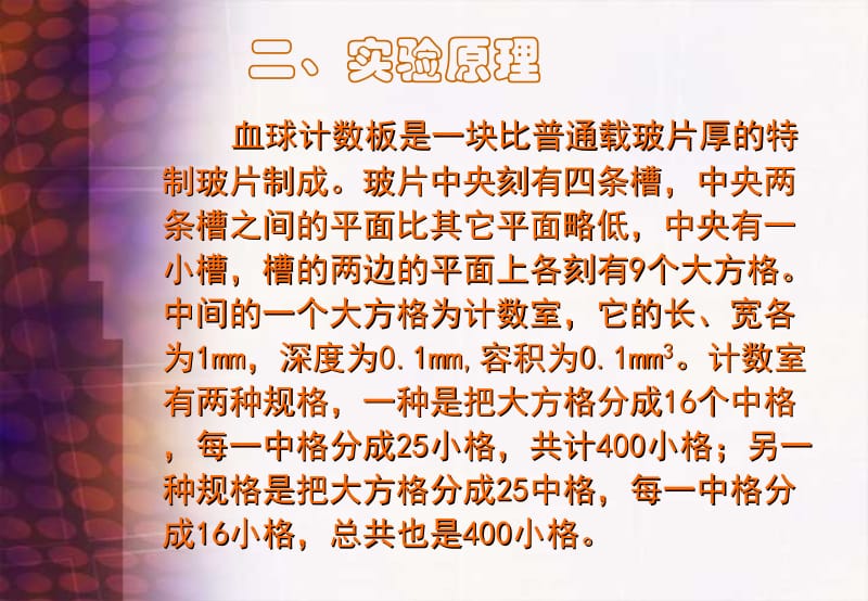 2018年实训四微生物细胞数计数-文档资料.ppt_第2页