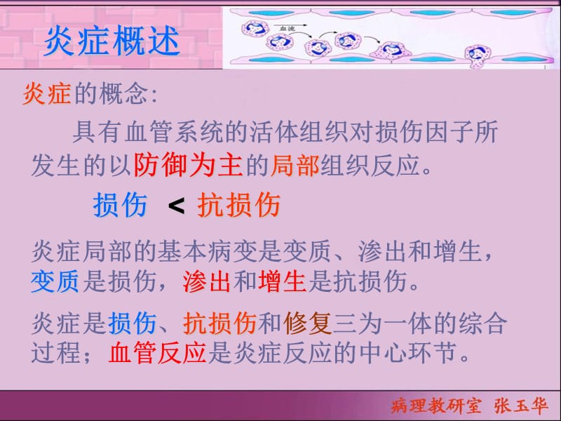 03第三章炎症-PPT文档资料.ppt_第3页