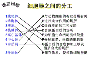 2018年我的课件：第二节：细胞器——系统内的分工合作1-文档资料.ppt