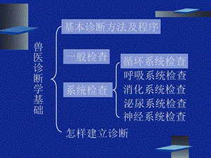 2018年兽医临床诊断学--循环系统检查 PP课件-文档资料.ppt