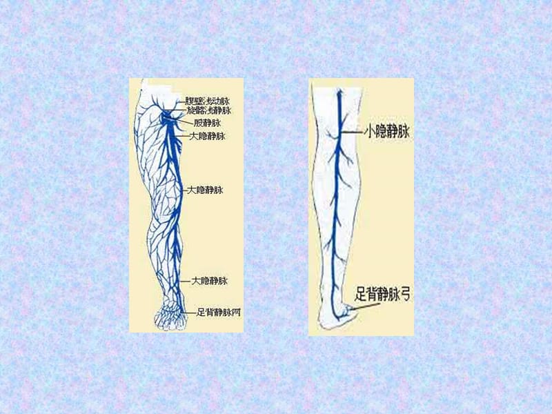 下肢深静脉血栓的介入治疗-PPT文档.ppt_第1页