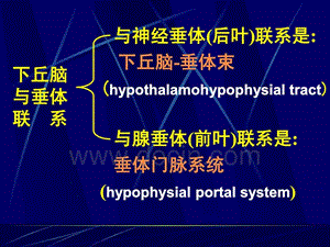 中国医科大学基础医学生理学PPT课件 第十一章 第二节 下丘脑与垂体的内分泌-文档资料.ppt