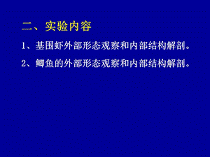 实验4基围虾、鲫鱼的活体解剖-精选文档.ppt