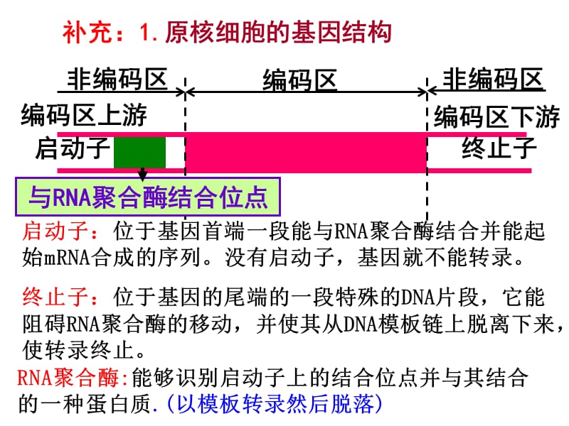 2018年高中生物选修三基因工程的基本操作程序-文档资料.ppt_第1页