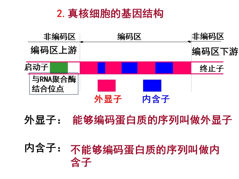 2018年高中生物选修三基因工程的基本操作程序-文档资料.ppt_第3页