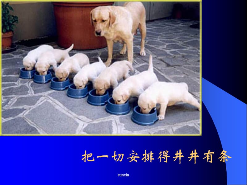 趣味销ppt课件.ppt_第3页