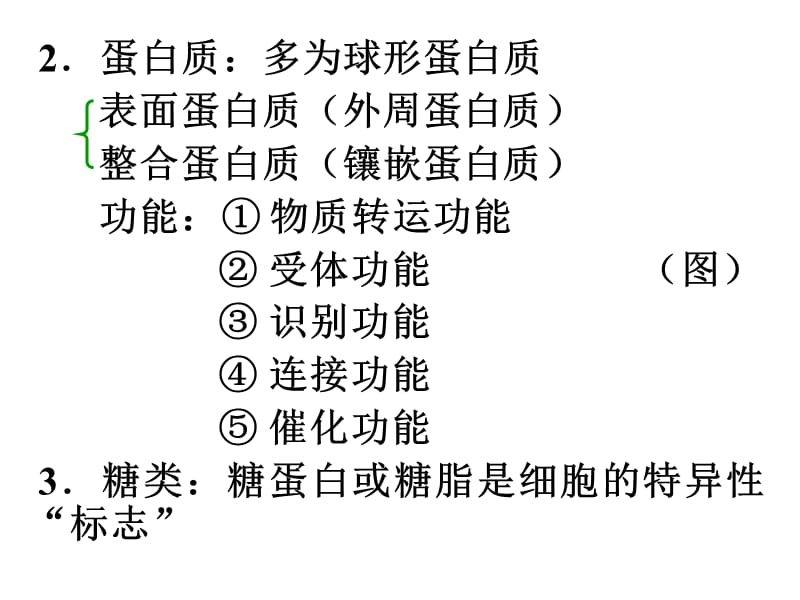 南农 生理学 01章细胞生理-PPT文档.ppt_第3页