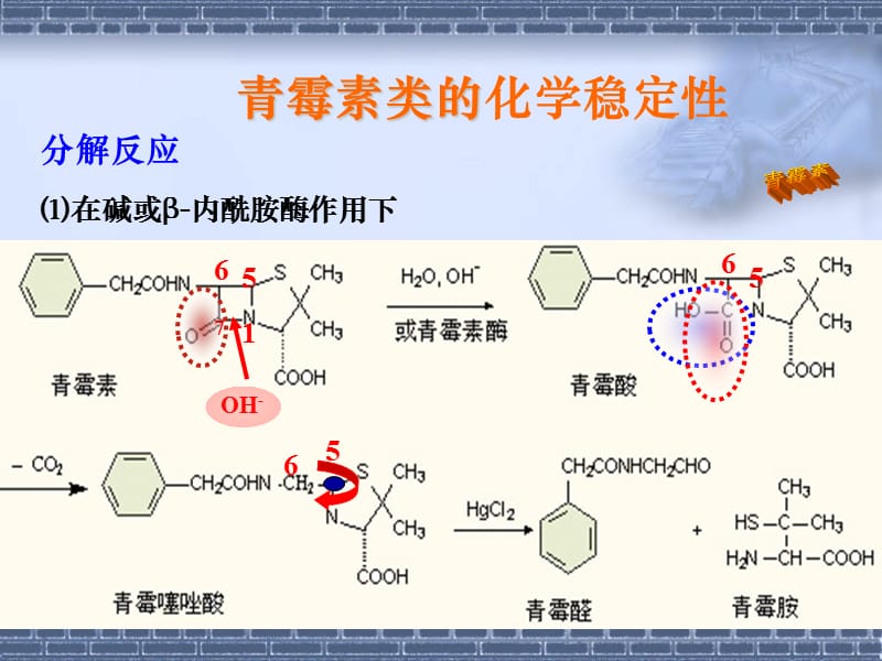 2018年第八章抗生素34-文档资料.ppt_第3页