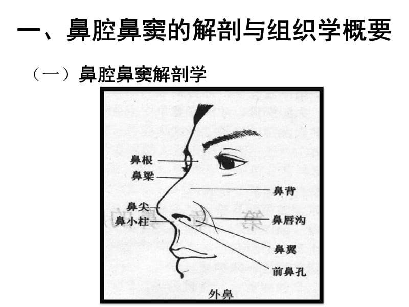 总论、耳鼻咽喉组织病理学-文档资料.ppt_第1页