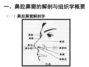 总论、耳鼻咽喉组织病理学-文档资料.ppt