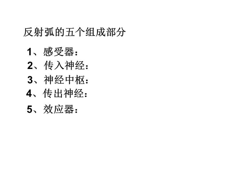 2018年动物生理学4神经系统内分泌系统和感官-文档资料.ppt_第2页