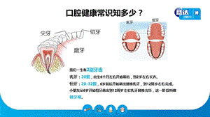 最新口腔健康知识学习-PPT文档.pptx