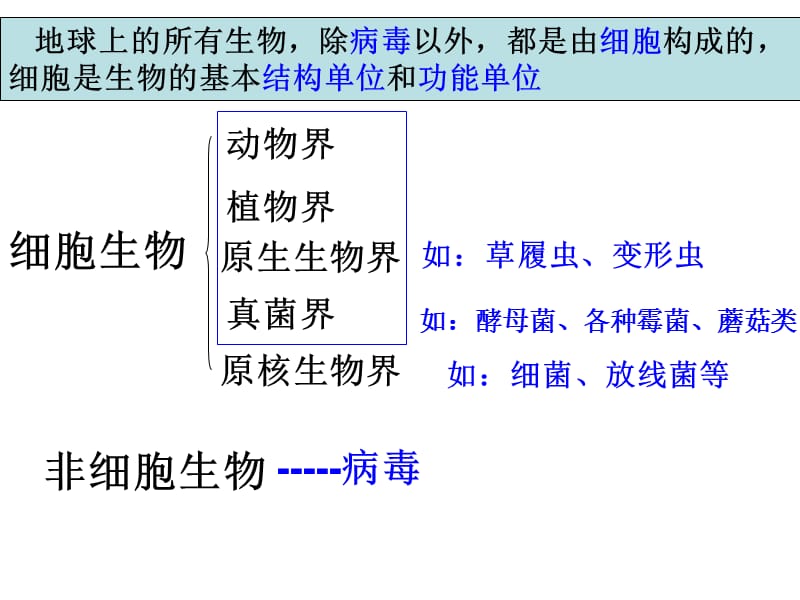 2012年高考生物总复习--病毒-文档资料.ppt_第1页