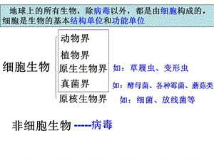 2012年高考生物总复习--病毒-文档资料.ppt