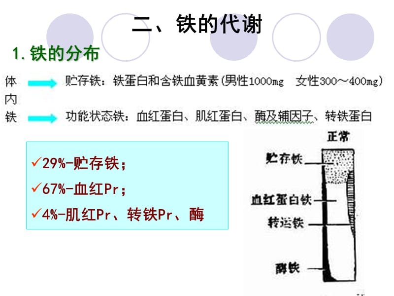 2018年第三节2缺铁性贫血-文档资料.ppt_第3页