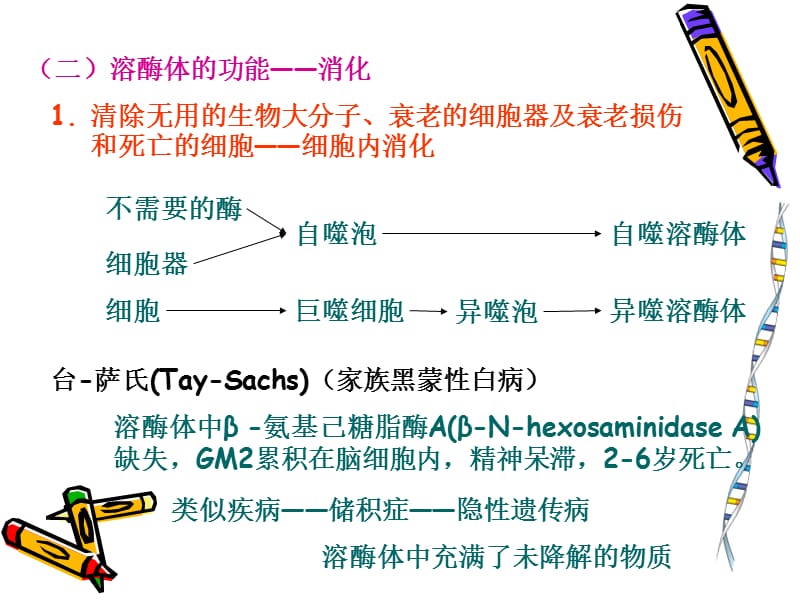 2018年细胞生物学72-文档资料.ppt_第3页