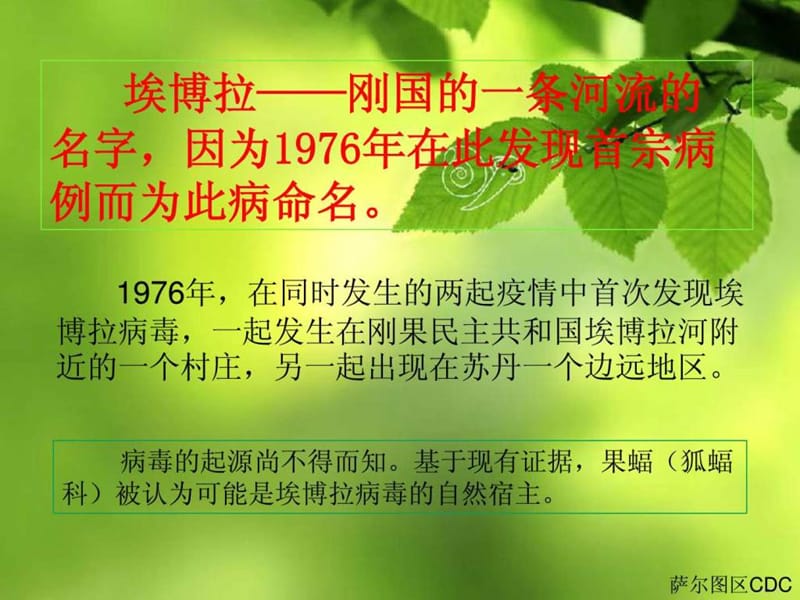 埃博拉出血热防控方案培训(1)-精选文档.ppt_第3页