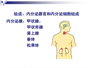 2018年组织学第13章内分泌系统-文档资料.ppt