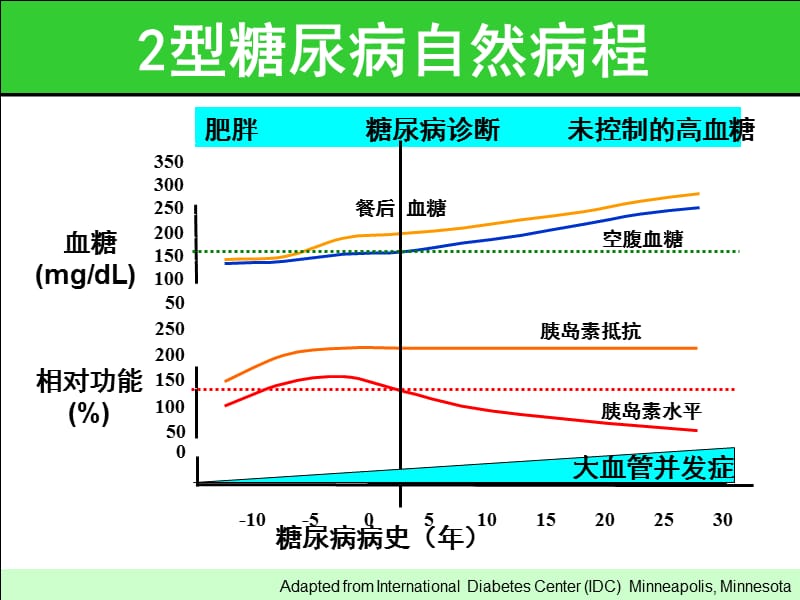 最新2型糖尿病药物联合治疗的实施策略-文档资料.ppt_第2页