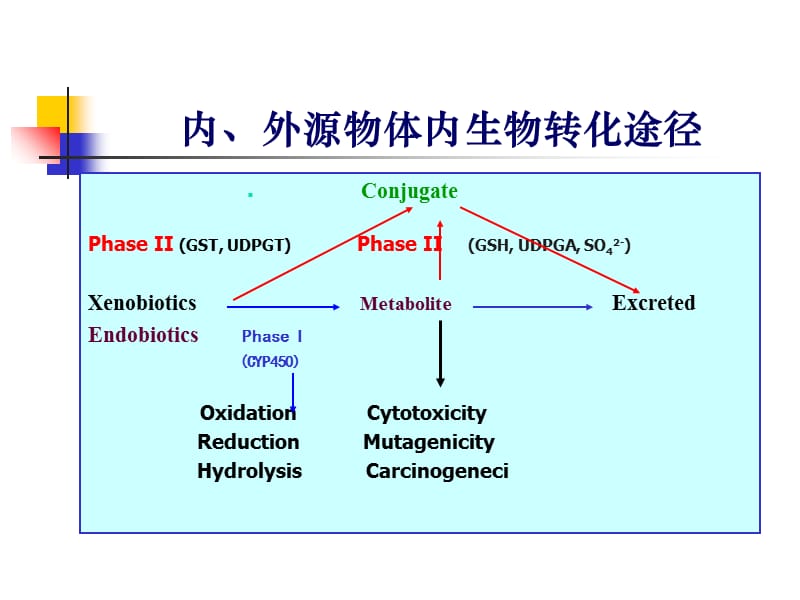 分子药理学课件-PPT文档.ppt_第1页