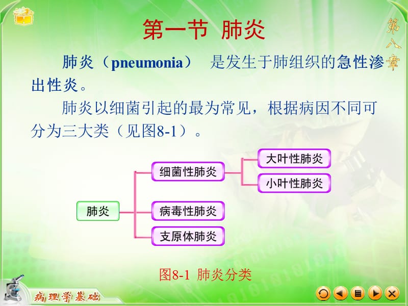 2018年第八章呼吸系统疾病-文档资料.ppt_第3页