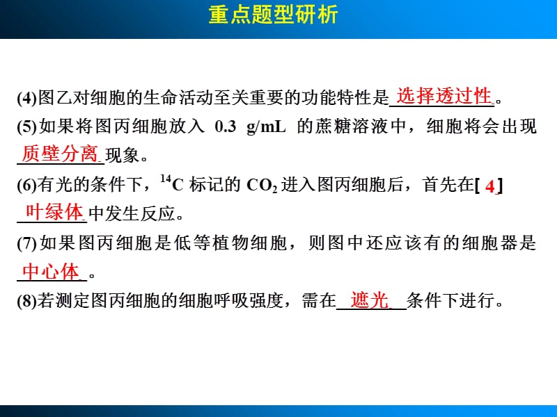 2014高考生物一轮复习第二单元细胞的基本结构和物质运输功能考能专项突破-精选文档.ppt_第3页