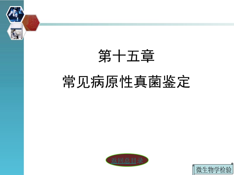 2018年第十五章常见病原性真菌鉴定-文档资料.ppt_第2页