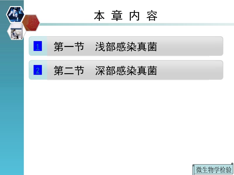 2018年第十五章常见病原性真菌鉴定-文档资料.ppt_第3页