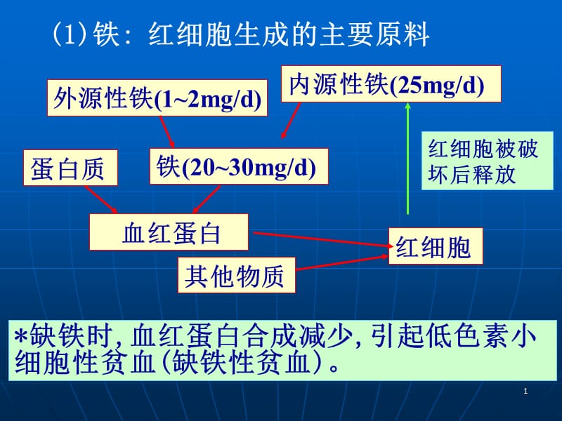 2018年第二章细胞的血型和血细胞-文档资料.ppt_第1页