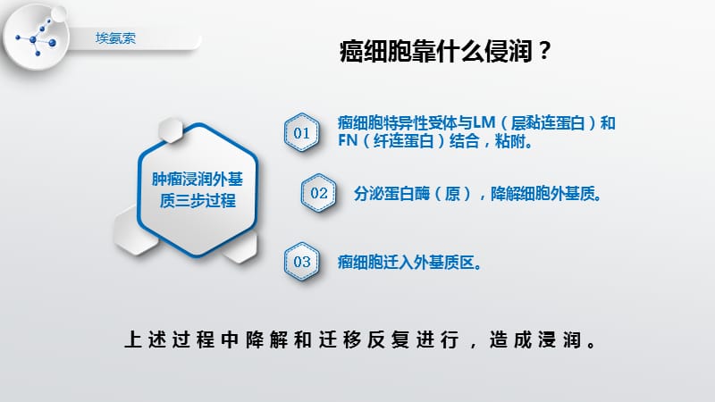 埃氨索胸腺脾多肽—防肿瘤扩散、抑癌细胞转移-文档资料.pptx_第2页