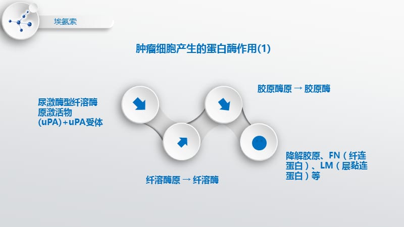 埃氨索胸腺脾多肽—防肿瘤扩散、抑癌细胞转移-文档资料.pptx_第3页