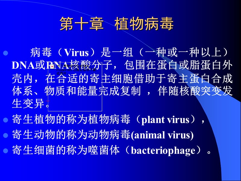 2018年10植物病理学第十章植物病毒-文档资料.ppt_第2页