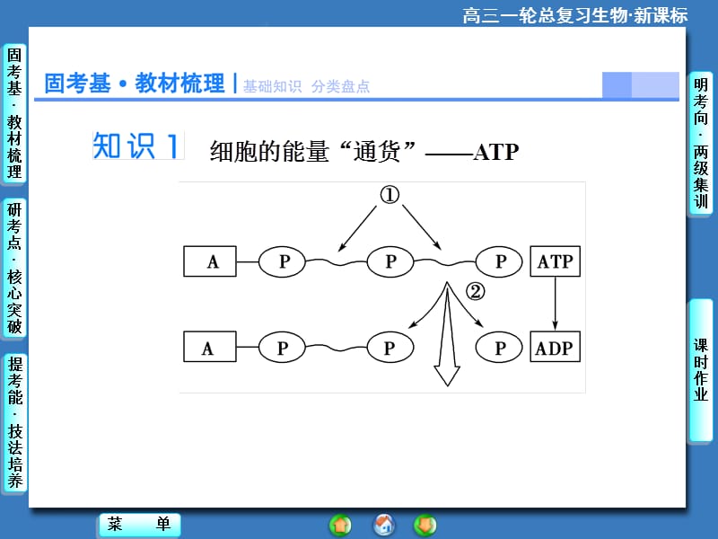 2018年2015《课堂新坐标》高考生物大一轮复习配套课件：必修1-第3单元-第2讲ATP与细胞呼吸-文档资料.ppt_第2页