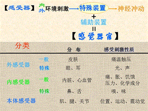 最新11总论脊髓---《解剖学》-PPT文档-PPT文档.ppt