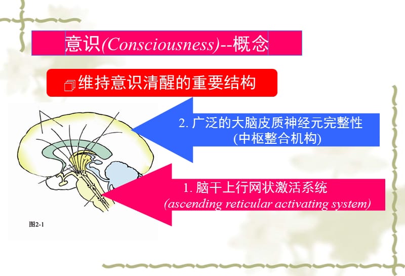 2018年意识障碍的急救流程-文档资料.ppt_第2页