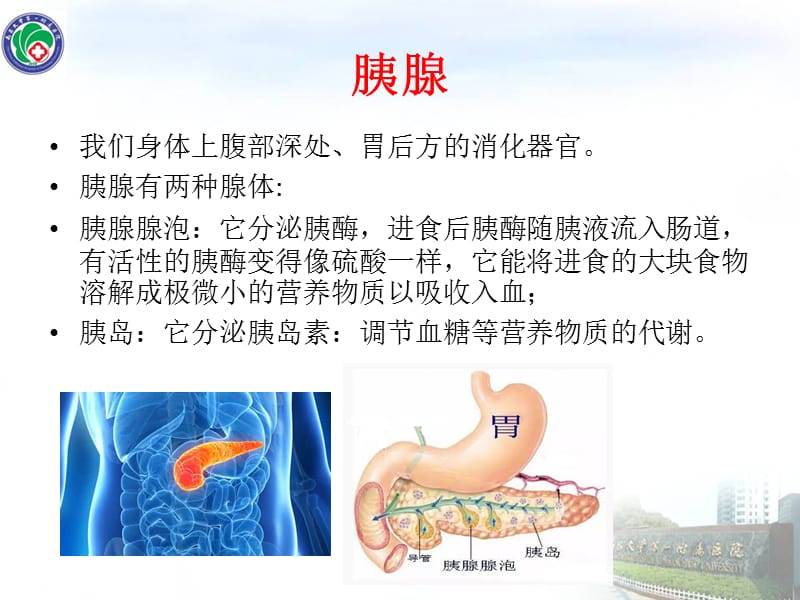 2018年急性胰腺炎健康教育-文档资料.pptx_第2页