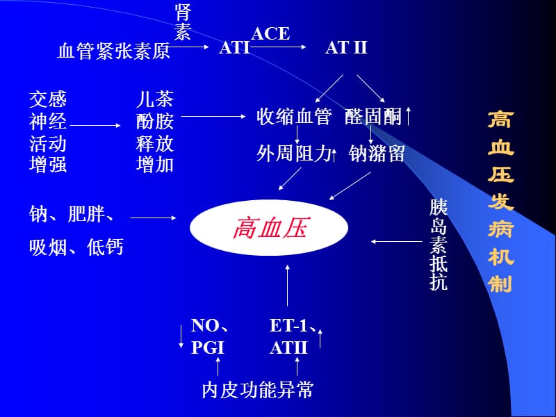 提高班原发性高血压-陈建英-文档资料.ppt_第3页