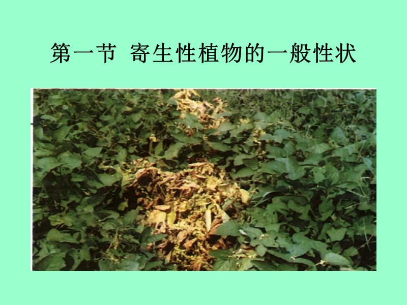 普通植物病理学第6章-精选文档.ppt_第3页