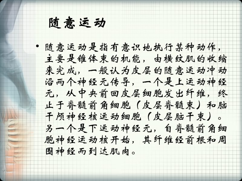 2018年实验六神经系统与运动控制-文档资料.ppt_第3页