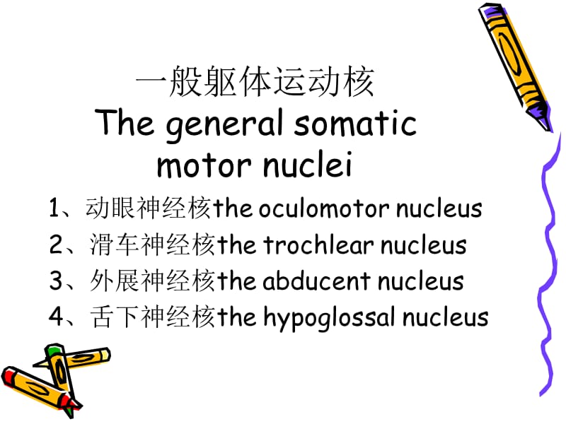 2018年脑干的内部结构-文档资料.ppt_第3页