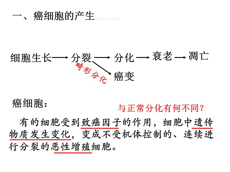 2018年人教版教学课件河北省石家庄一中20122013学年高一生物《64细胞的癌变》课件新人教版必修1-文档资料.ppt_第2页