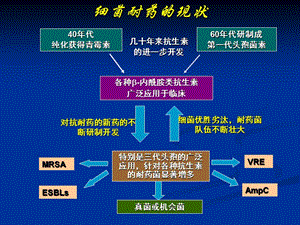 合理应用抗生素课件-文档资料.ppt