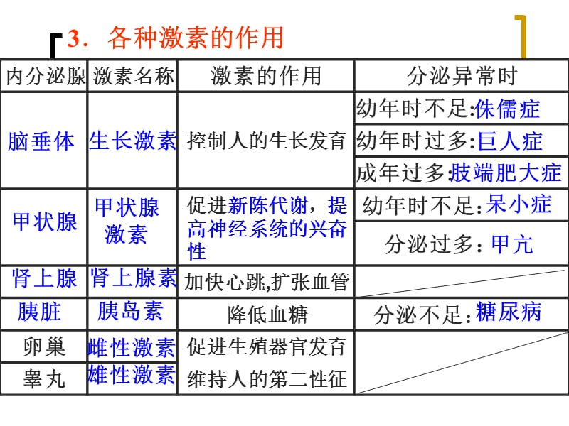 最新人体的神经调节1-PPT文档.ppt_第2页