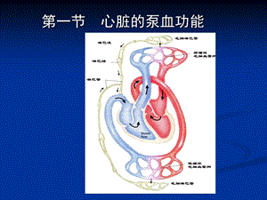 2018年第四章循环系统第一节心脏泵血功能-文档资料.ppt