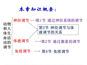 222通过神经系统的调节-PPT文档资料.ppt