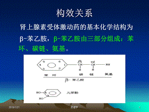 2018年α-受体激动药去甲肾上腺素-文档资料.ppt