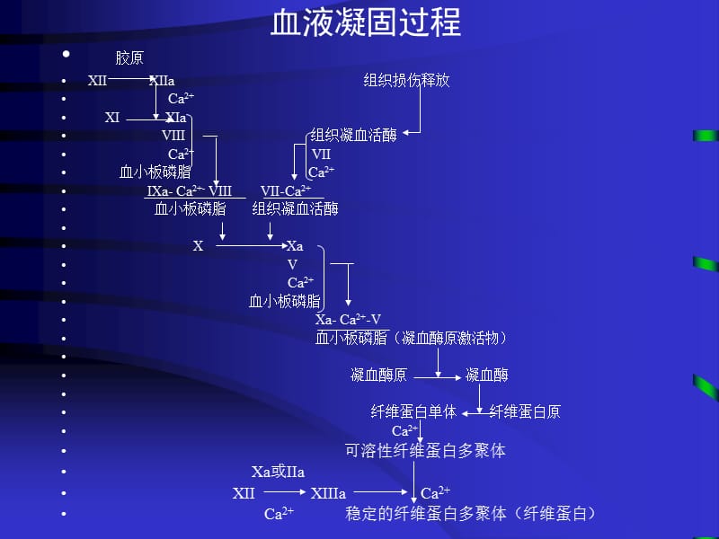 哈尔滨医科大学-内科学课件-弥散性血管内凝血-PPT文档.ppt_第3页