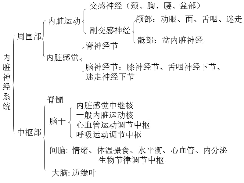 内脏神经liyuan-文档资料.ppt_第3页