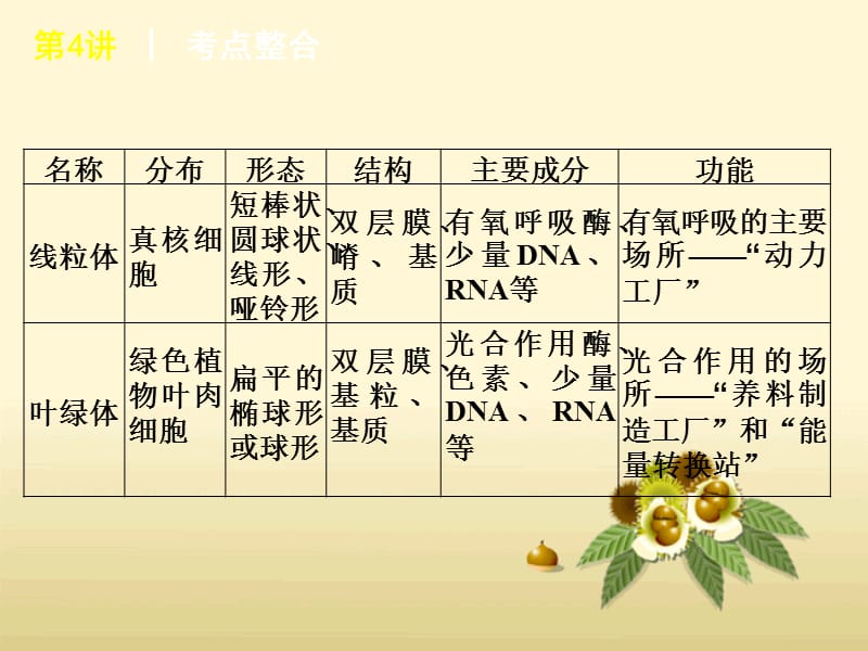 2012年高考生物专题复习提分课件：第4讲细胞质的结构和功能大纲版-PPT文档.ppt_第2页